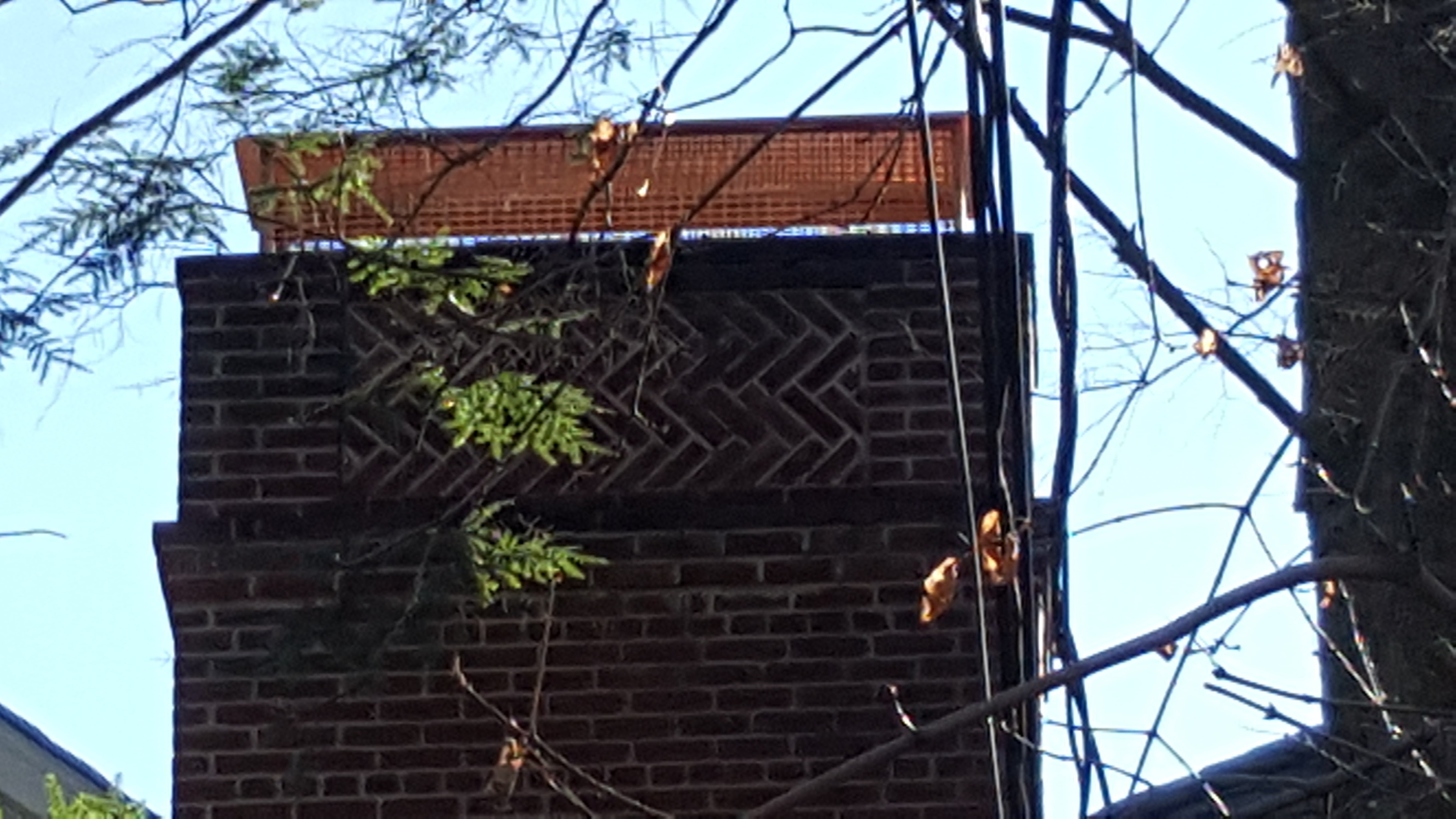 Animal-proof chimney cap protecting home in Roslyn, New York